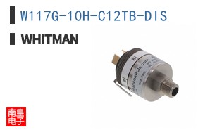 W117G-10H-C12TB-DIS ͼƬ